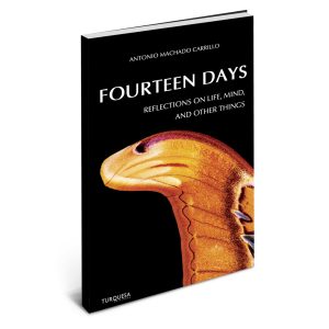 FOURTEEN DAYS - inglés