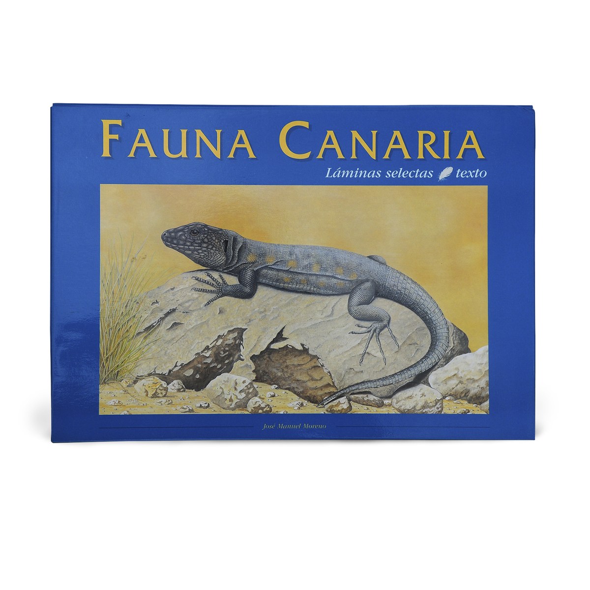 FAUNA CANARIA - carpeta de 12 láminas