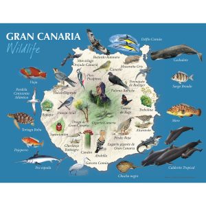 PEQUEÑOS PÓSTERS DE NATURALEZA - Fauna de Gran Canaria
