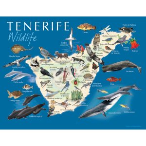 PEQUEÑOS PÓSTERS DE NATURALEZA - Fauna de Tenerife