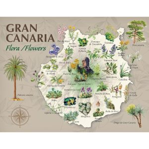 PEQUEÑOS PÓSTERS DE NATURALEZA - Flora de Gran Canaria