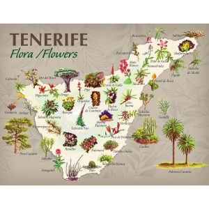 PEQUEÑOS PÓSTERS DE NATURALEZA - Flora de Tenerife
