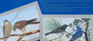 Cuadernos / Carpetas