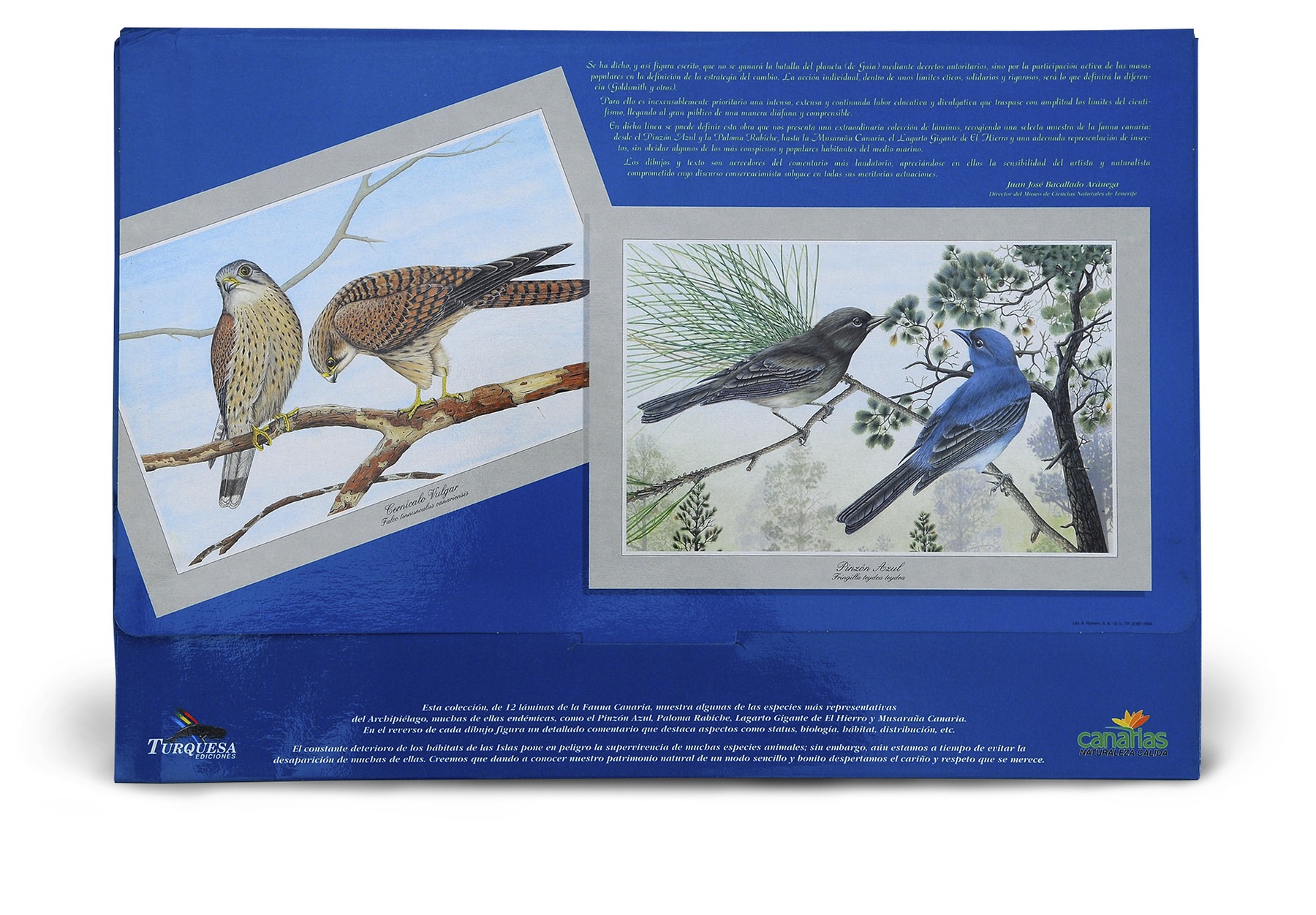 FAUNA CANARIA - carpeta de 12 láminas - Imagen 2