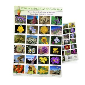 Flores endémicas de Canarias — lámina encapsulada, multilingüe