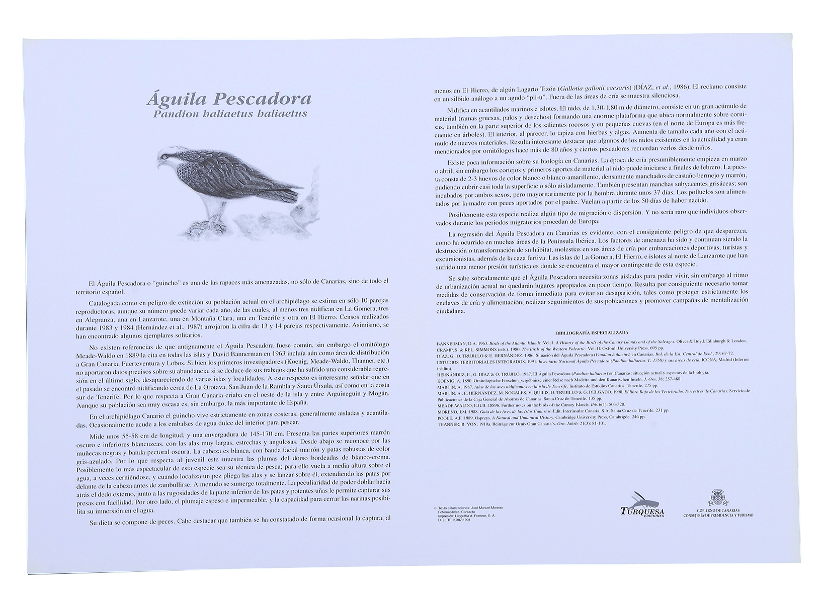 FAUNA CANARIA - carpeta de 12 láminas - Imagen 4