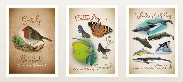 Cuadernos