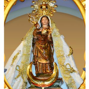 VIRGEN DE GUADALUPE